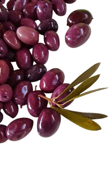Aceitunas Mulata Gourmet